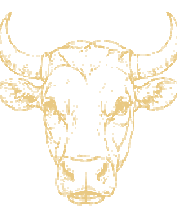 Le Volte Stier