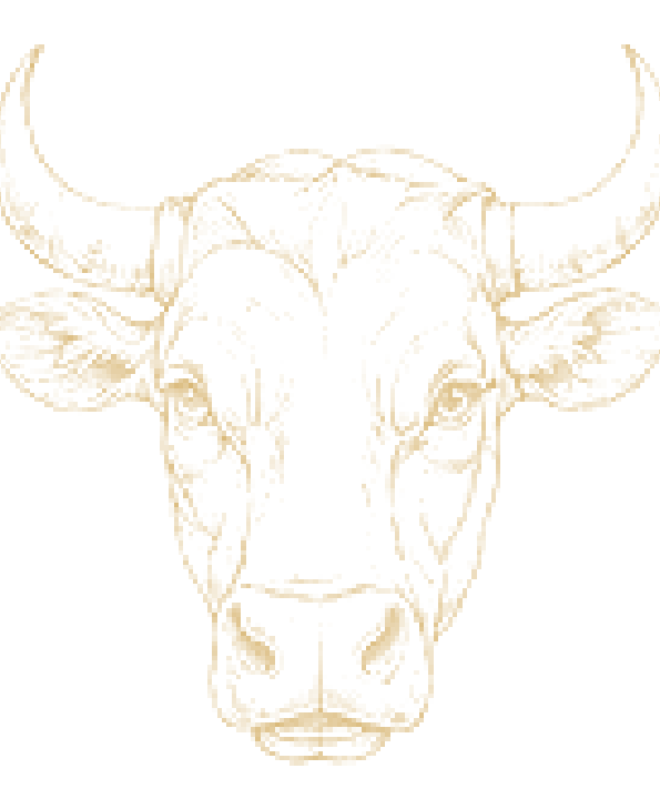 Le Volte Stier